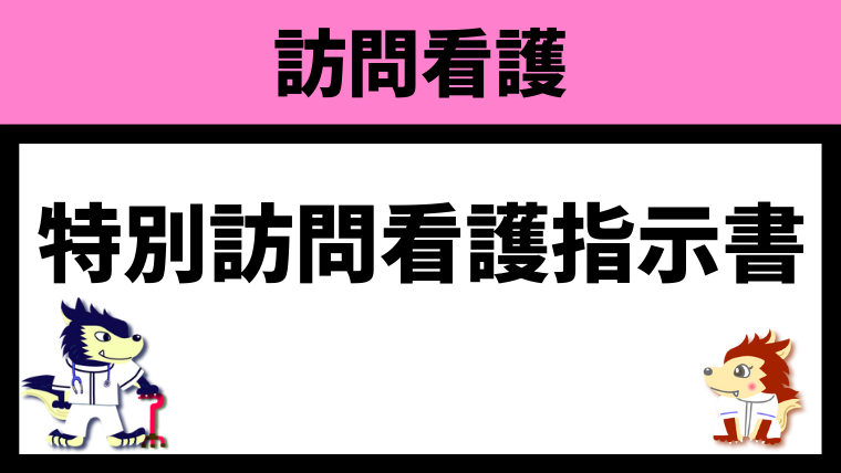 特別訪問看護指示書